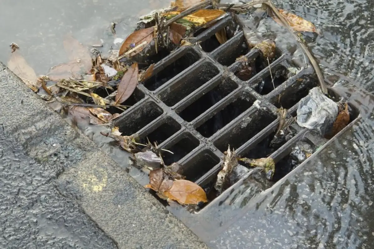 French Drain Installation in Greenwood, LA: Cost & Process 2 French drain installation trench with perforated pipe and gravel in Greenwood LA